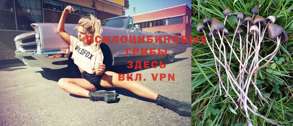 соль ск Новозыбков