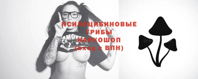 спиды Новокубанск