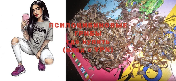 спиды Новокубанск