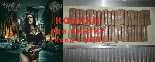 соль ск Новозыбков