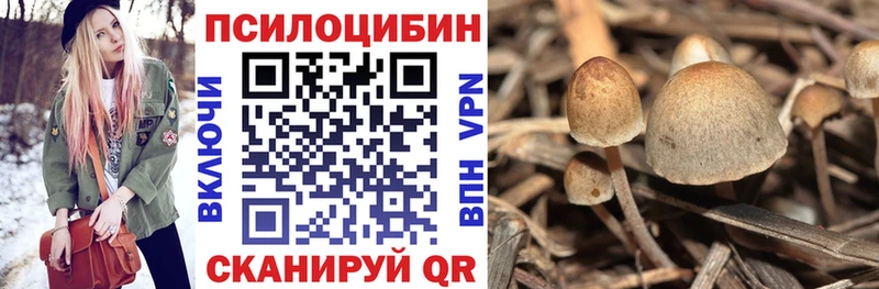 Галлюциногенные грибы прущие грибы Каменск-Уральский