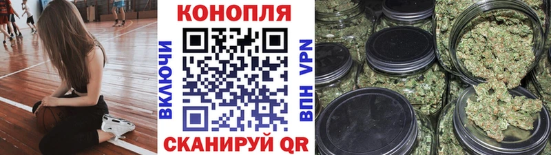 Купить  Каменск-Уральский  Бошки марихуана MAZAR 